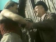 Добровольцы