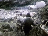 Летняя поездка к морю