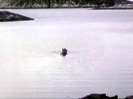 Летняя поездка к морю