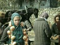 Назначаешься внучкой