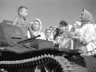 Освобожденная земля