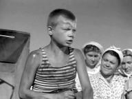 Освобожденная земля