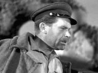 Освобожденная земля
