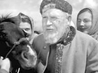 Освобожденная земля
