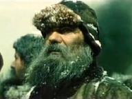 Русский лес