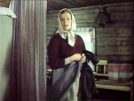 Вина лейтенанта Некрасова