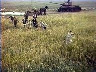 Время выбрало нас